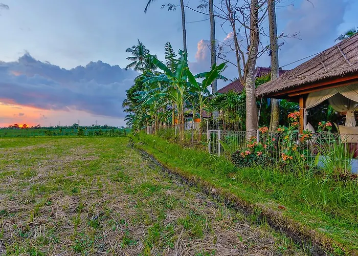 Kaba Kaba * Canggu (Bali)