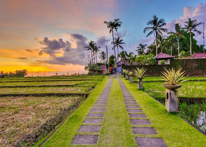 Kaba Kaba * Canggu (Bali)